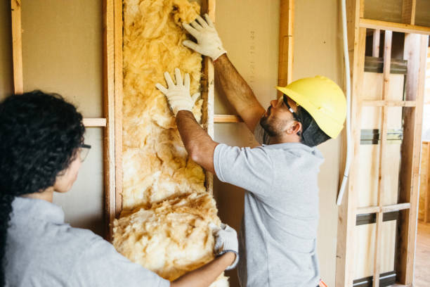 Best Attic Insulation Installation  in Kempner, TX